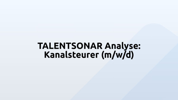 TALENTSONAR Analyse: Kanalsteurer (m/w/d)