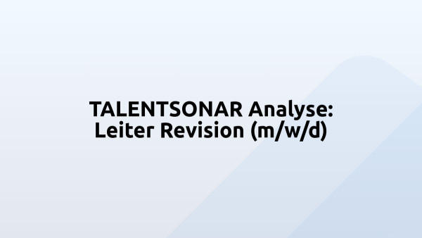 TALENTSONAR Analyse: Leiter Revision (m/w/d)