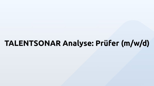 TALENTSONAR Analyse: Prüfer (m/w/d)