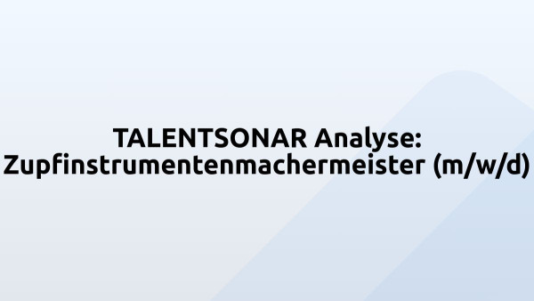 TALENTSONAR Analyse: Zupfinstrumentenmachermeister (m/w/d)