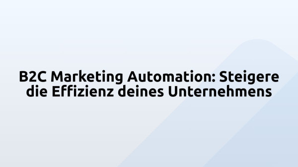 B2C Marketing Automation: Steigere die Effizienz deines Unternehmens