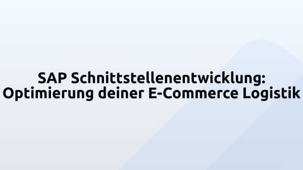 SAP Schnittstellenentwicklung: Optimierung deiner E-Commerce Logistik