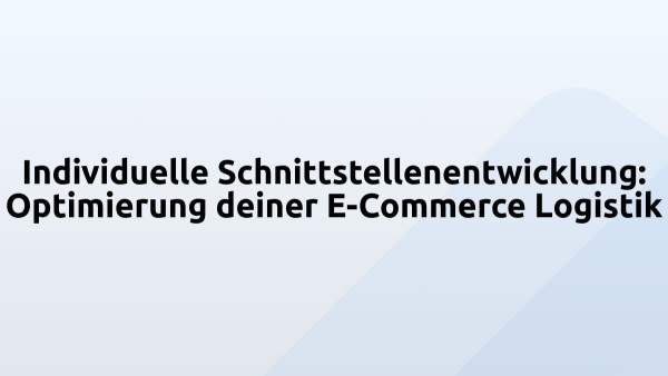 Individuelle Schnittstellenentwicklung: Optimierung deiner E-Commerce Logistik