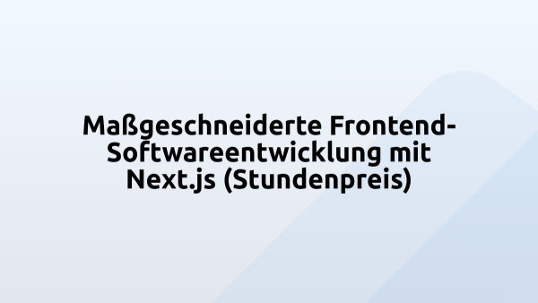 Maßgeschneiderte Frontend-Softwareentwicklung mit Next.js (Stundenpreis)