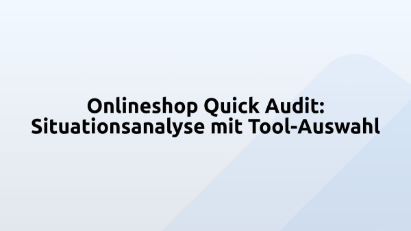 Onlineshop Quick Audit: Situationsanalyse mit Tool-Auswahl