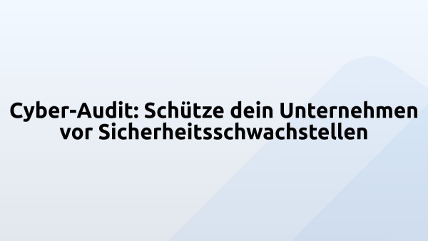 Cyber-Audit: Schütze dein Unternehmen vor Sicherheitsschwachstellen