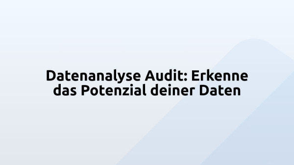 Datenanalyse Audit: Erkenne das Potenzial deiner Daten